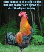 IMG_8682.jpeg