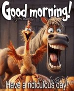 IMG_8719.jpeg