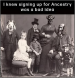 1788174296619.png