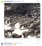 1788208269185.png