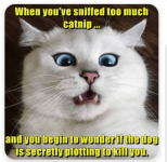 1788962354502.png