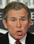 bush.jpg