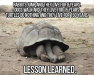 IMG_2507.jpeg