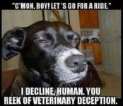 IMG_4286.jpeg