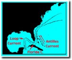 gulf stream 1.jpg