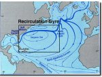 gulf stream 3.jpg