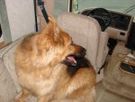 DSC00684a.jpg