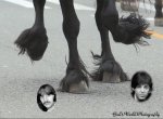 beatles hair styles.jpg