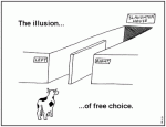 illusion of free choice.gif