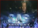 SAS.jpg