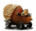 Acorn-truck.jpg