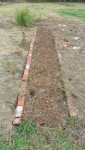 gardenpath.jpg