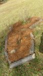 highbushcranberry.jpg