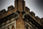 _MG_4546c3websm.jpg