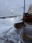 sandy 20.jpg