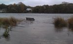 sandy 24.jpg