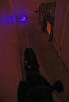 Blue laser vs stuffed squirrel a.jpg