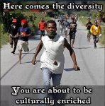 Diversity.jpg
