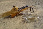 fox sniper with rabbit kills.jpg
