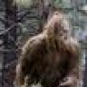 Sasquatch