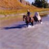 Open Range