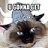 Mzkitty