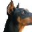 TheDoberman