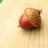 Little-Acorn